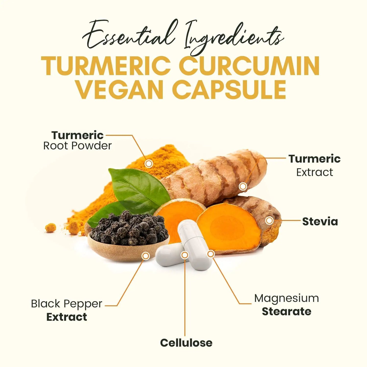 Turmeric Curcumin Capsules