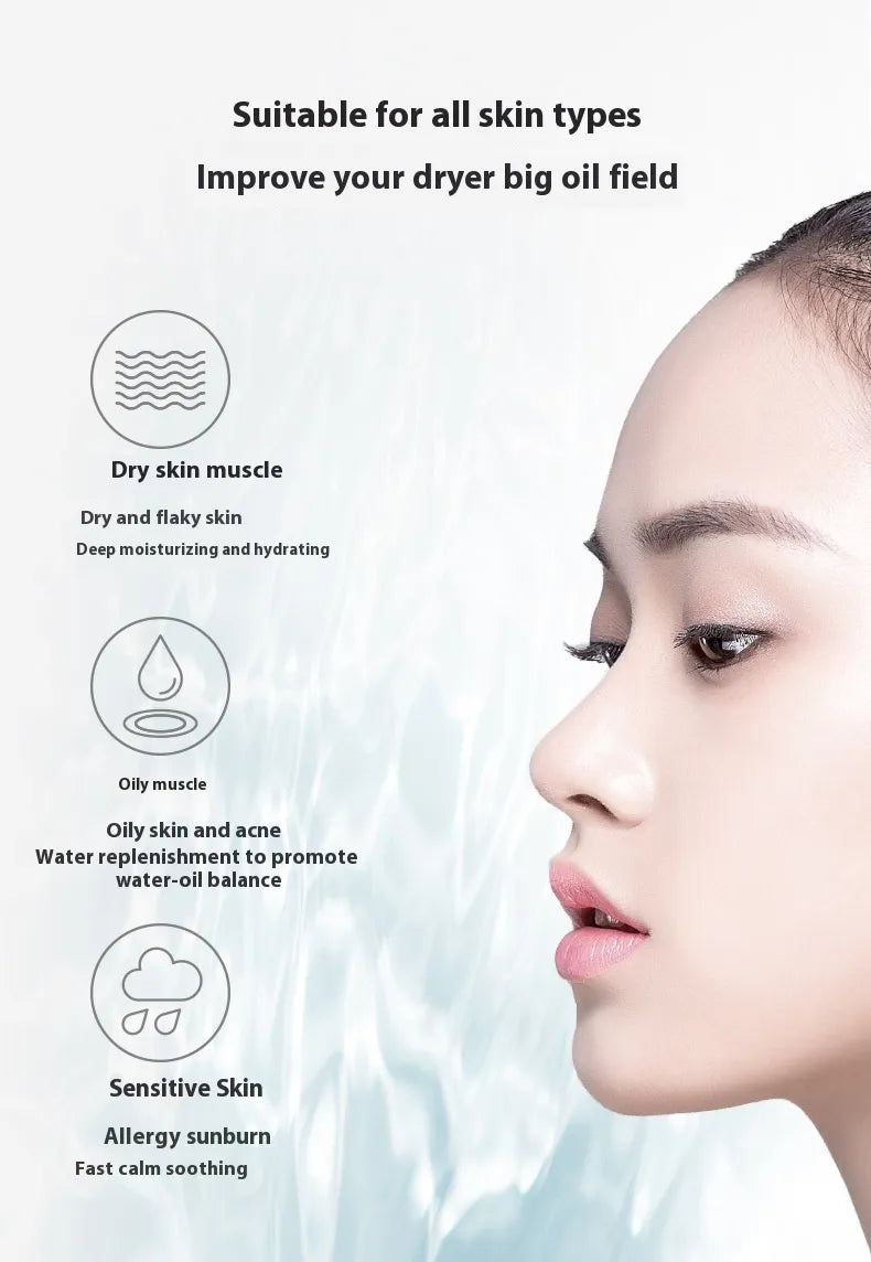 Portable Facial Mist Sprayer